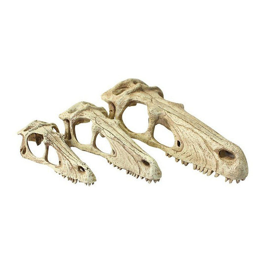 Decor terariu sub formă de craniu de dinozaur, Komodo Raptor Skull
